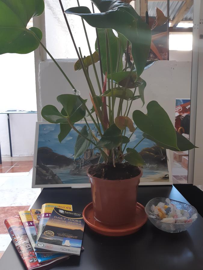 Namaste Quarto em Acomodações Particulares *